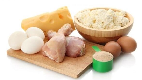 protein foods for the diet